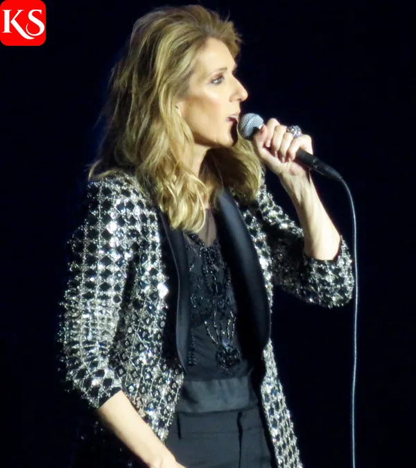 Celine Dion bei einem Live-Auftritt 2017 – vor ihrer krankheitsbedingten Bühnenpause